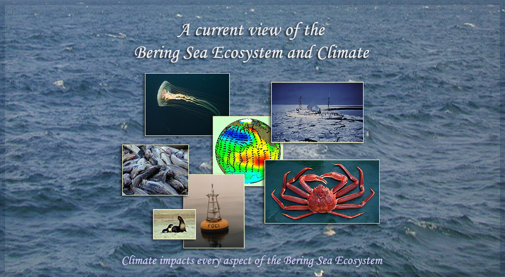 Bering Sea collage