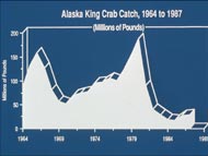 Alaska King Crab Catch, 1964-1987