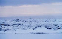 Ice fields in Winter in the Bering Sea 