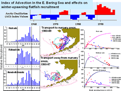 Recruitment influences on winter-spawning flatfish species