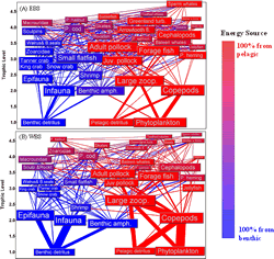 The proportion of energy flow to ecosystem components