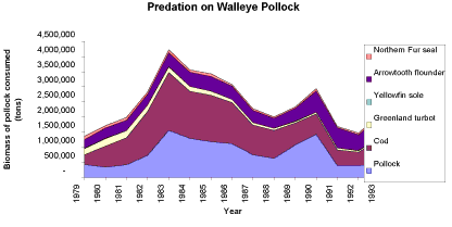 Multispecies model estimates of amounts of walleye pollock consumed by predators