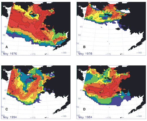 Four distinct meltback patterns