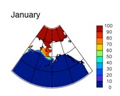 January sea ice