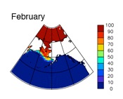 February sea ice