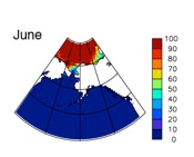 June sea ice