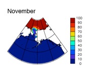 November sea ice