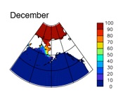 December sea ice